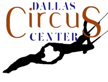 DCC-Logo